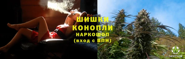 винт Абаза