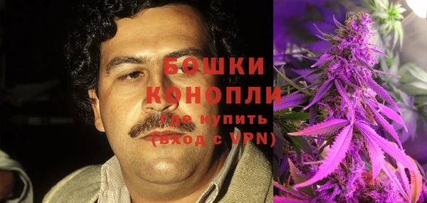 винт Абаза