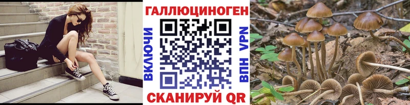 цены наркотик  Новосиль  ОМГ ОМГ ТОР  Псилоцибиновые грибы GOLDEN TEACHER 