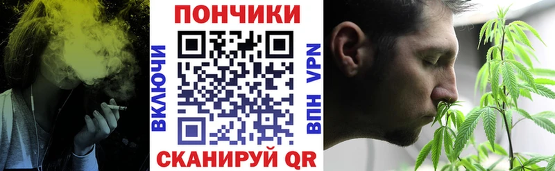 Бошки Шишки гибрид  ОМГ ОМГ ТОР  Новосиль 